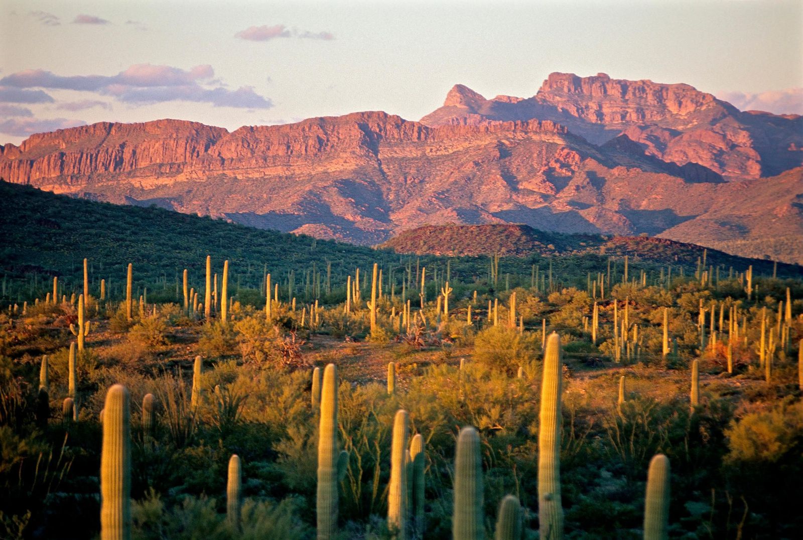 Planned Border Wall May Threaten 22 Archaeological Sites in Arizona, N ...